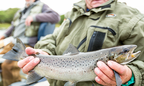 loch naver sea trout