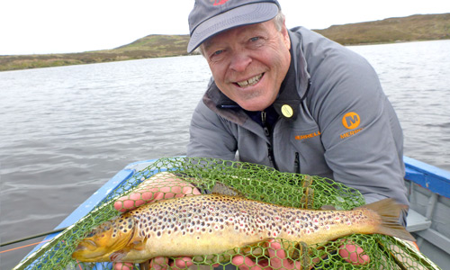 tomich brown trout